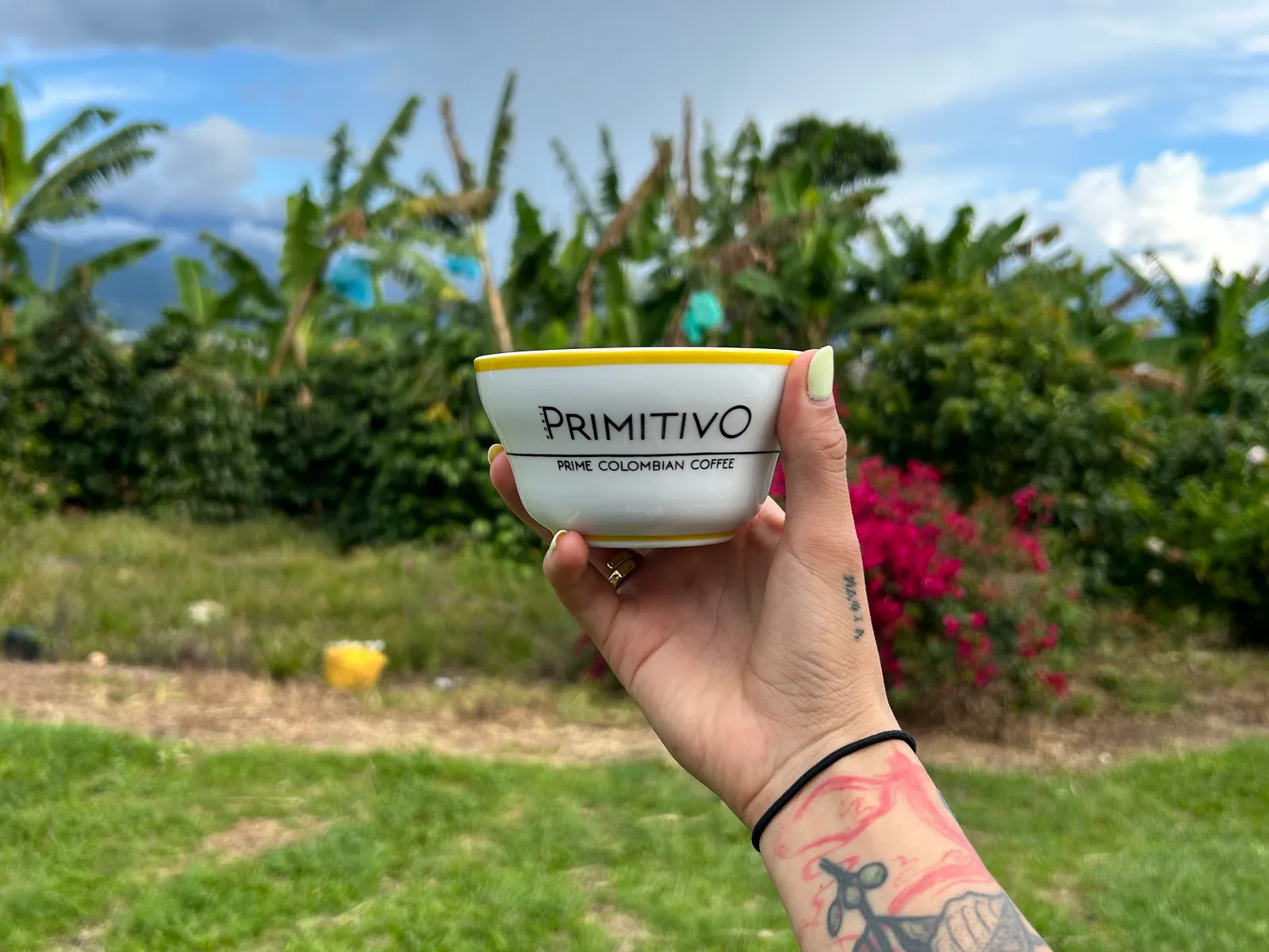 Primitivo | Honey Chai